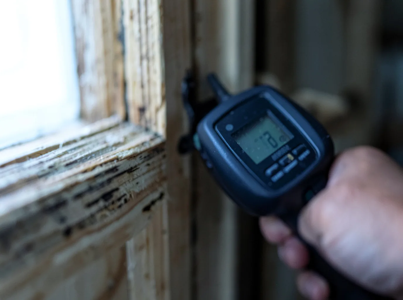 Moisture Inspection And Documentation in Springdale, PA